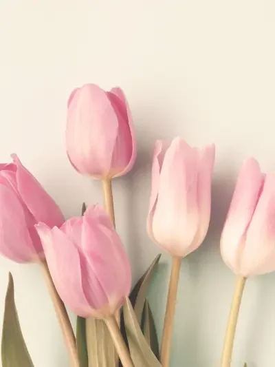 beautiful-tulips hellebores bridal bouquet