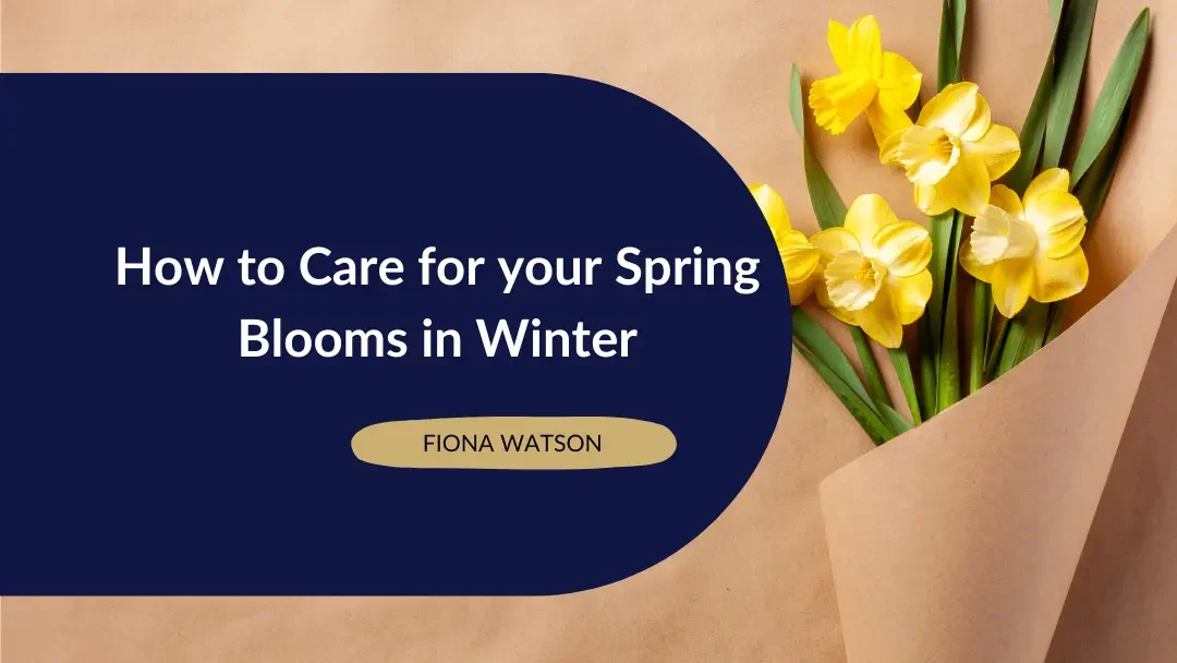 How to care for your spring blooms in winter