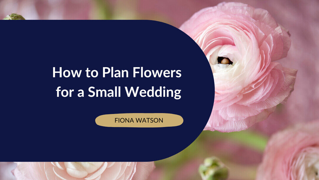featured image, using x Pink Ranunculus for blog post on flowers for a small wedding,
